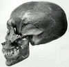 KV55_scull.jpg