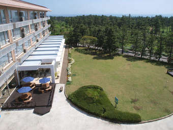 Y361212167.jpg
