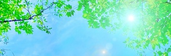 25965904_s_half.jpg