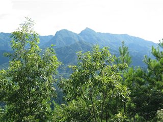 高千穂 槵觸の峰